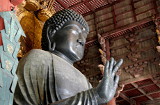 「知識」が造った東大寺の廬舎那仏
