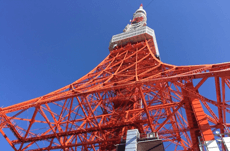 8割が不正解！東京タワーの色は何色？