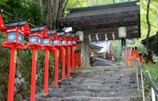 神社に行くと得られる気持ちよさとは！？