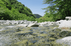 日本で最も「水質が良い」川とは？