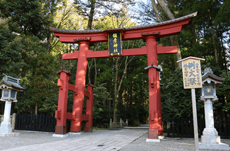 神社が一番多い・少ない都道府県は一体どこ？