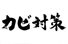 家の中のカビ…その原因と対策は？