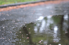 雨の日は事故多発！運転するときの7つの注意点