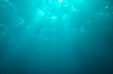 95％が未解明…未知なる「深海」の謎４選