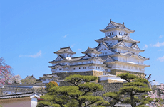 外国人に人気な日本の「建築物」３選