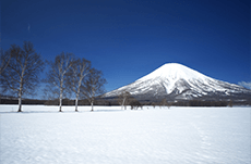 北海道「ニセコ」はなぜ外国人に人気なのか