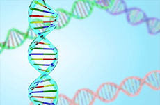 『環境DNA入門』が教えてくれる「ただよう遺伝子」の世界