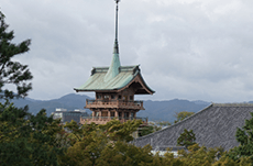 金・銀じゃない！幻の「銅閣寺」は存在した！