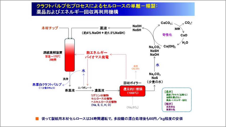 セルロースには変換プロセスのブレイクスルーが不可欠 磯貝明 テンミニッツtv