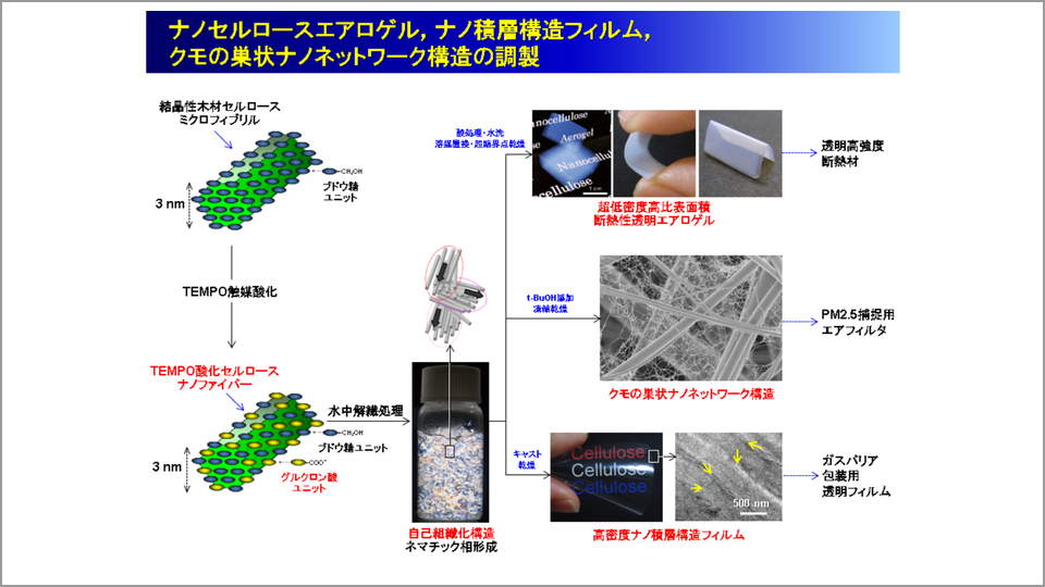 先端材料としてのセルロースナノファイバーの応用分野は 磯貝明 テンミニッツtv