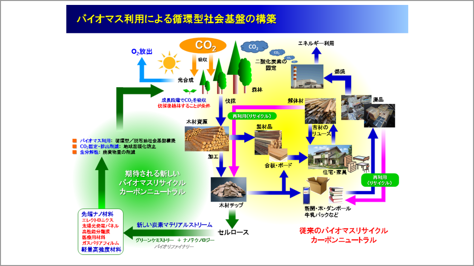 先端材料としてセルロースナノファイバーに高まる関心 磯貝明 テンミニッツtv