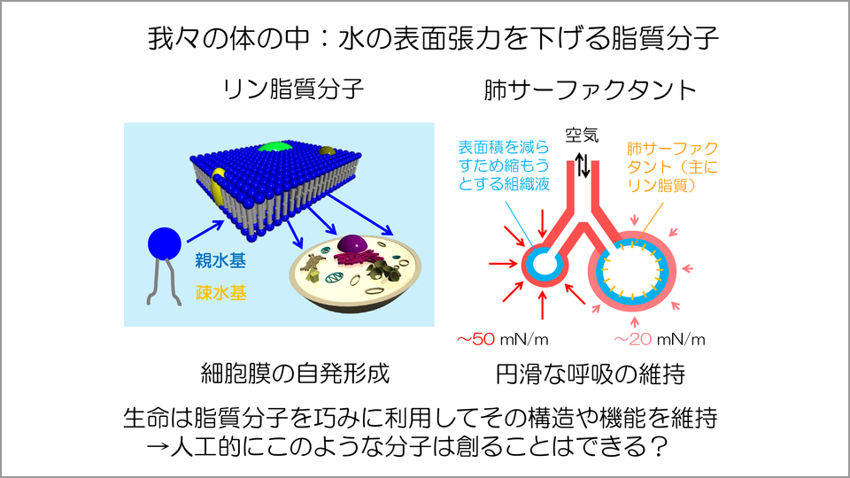 水滴にみる表面張力の分子起源とその制御について考える 由井宏治 テンミニッツtv