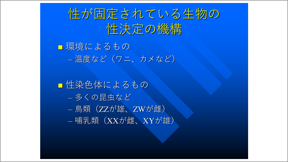 性の決定はいつ Sry遺伝子 とは何か 長谷川眞理子 テンミニッツtv