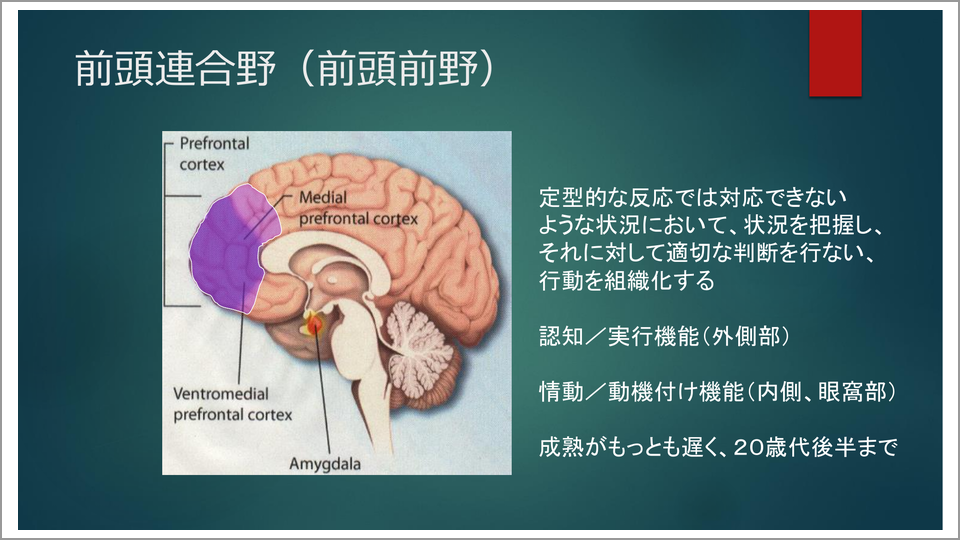 奥脳とはどういう意味ですか？