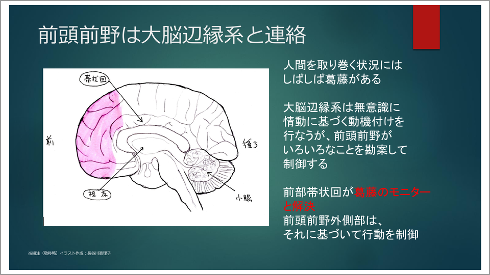 脳科学的に大人は30歳 脳の奥にある人間の特色 長谷川眞理子 テンミニッツtv