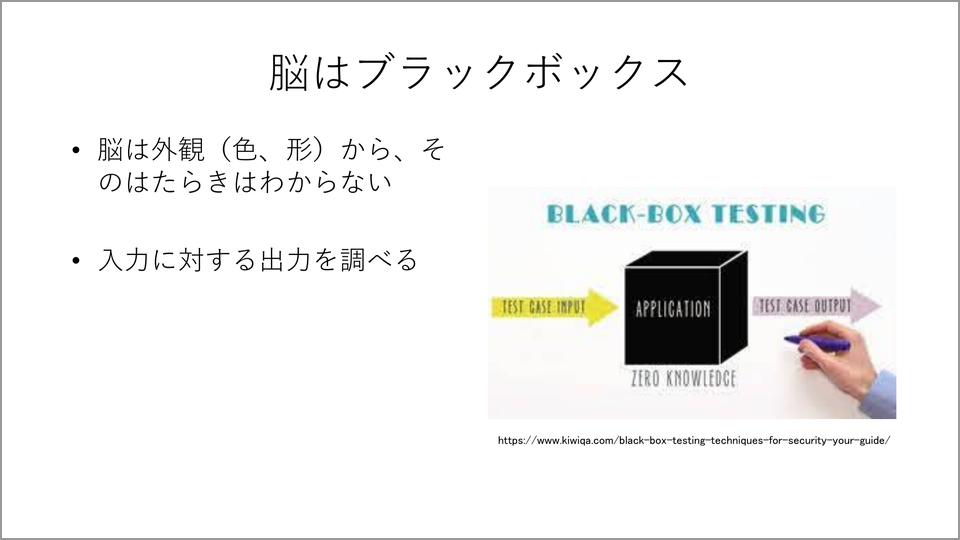 人間の脳の中はホムンクルス…再発見の「機能局在」とは | 毛内拡