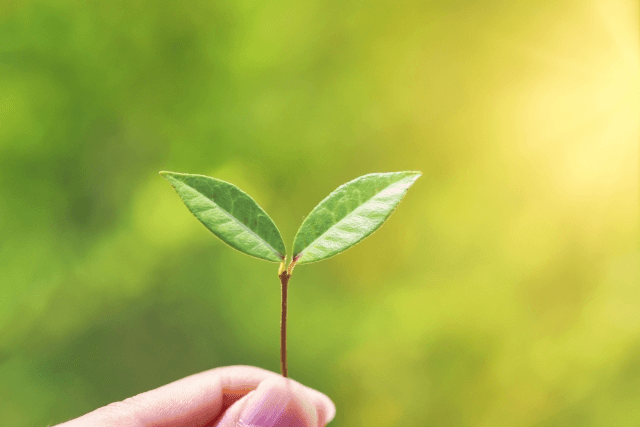 春に「いのち」を考える