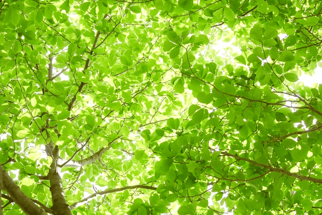 春に「人間力」を高める（令和8年版）