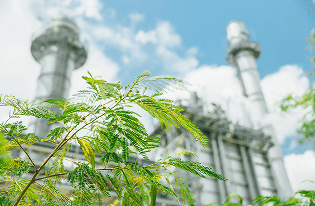 メダカの学校・総合的な学習（探究）の時間・逆参勤交代