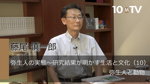 弥生人の実態～研究結果が明かす生活と文化（10）弥生人と動物