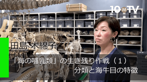 海の哺乳類」が海の中で行った「生き残り作戦」とは | 田島