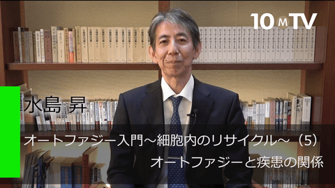 オートファジー入門～細胞内のリサイクル～（5）オートファジーと疾患の関係