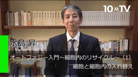 オートファジー入門～細胞内のリサイクル～（1）細胞と細胞内の入れ替え